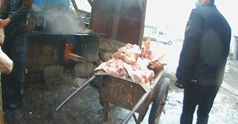 工业松香竟用于猪头肉脱毛;盘州查获大量问题产品,执法部门联合行动。 新闻