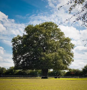  文化桥梁在伦敦书展闪耀，中国出版携“阅读中国”主题绽放国际舞台；传统典籍遇见数字创新，深化全球对话新格局。 文化旅游