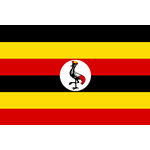  东非联合主办非洲杯；肯尼亚缴费延误引关注；前景如何？ 体育新闻