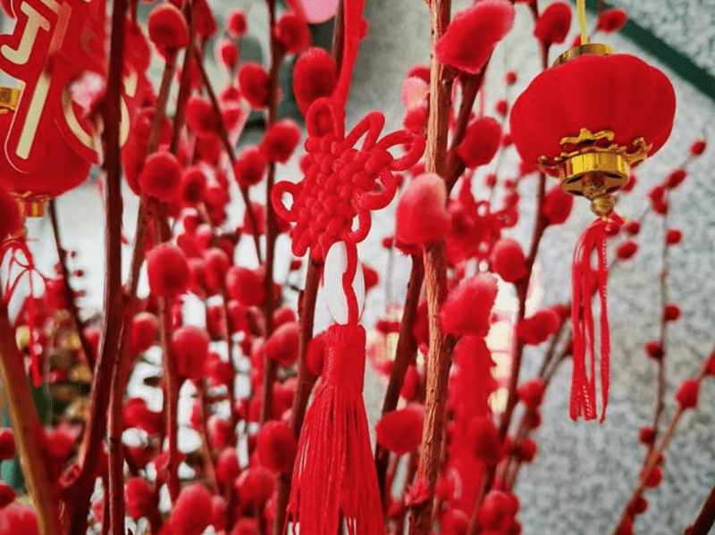 极致堆叠的艺术:一加15T重塑单手旗舰的边界与哲学 手机评测