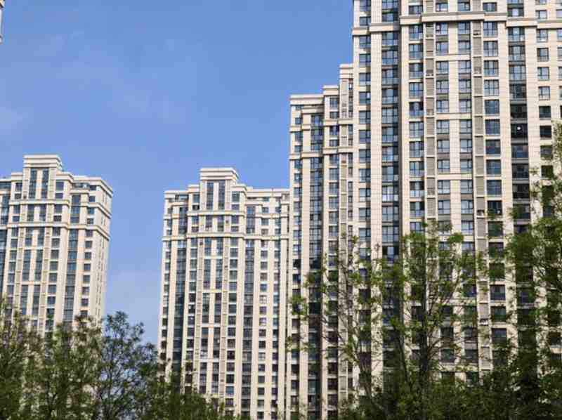 极致堆叠的艺术:一加15T重塑单手旗舰的边界与哲学 手机评测