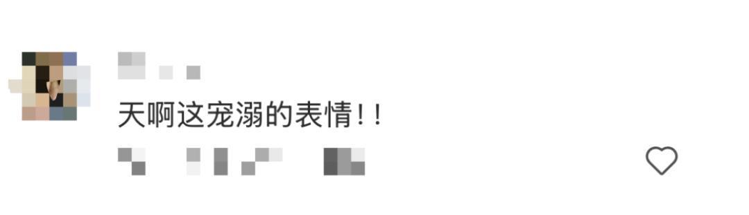 未来文娱产业风向标:从《太阳之子》看顶级IP的内容精细化运营路径 IT技术