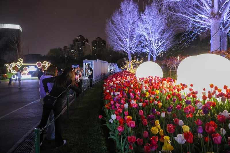  千架无人机集群技术深度解析：静安花朝节光影大秀背后的技术架构与创新实践 IT技术