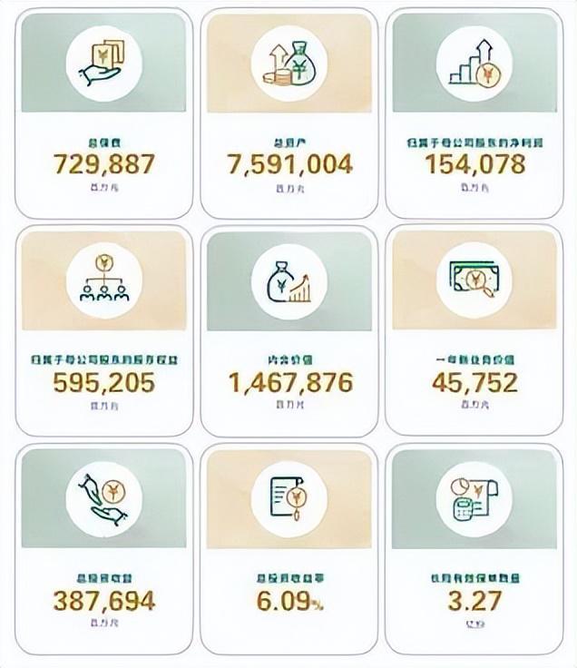  解码中国人寿7000亿保费背后的投资密码：权益仓位从12%到17%的战略跃迁 股票财经