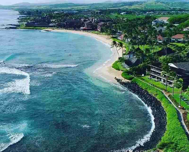  那一刻，海水吞噬了他们的梦想——夏威夷坠机事故幸存者亲述与安全警示 新闻