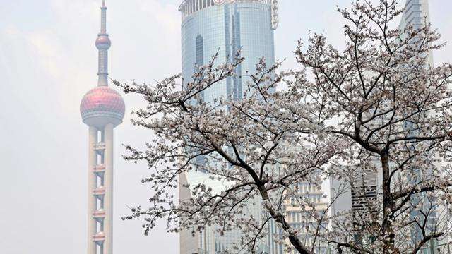 【深度】从“鲶鱼效应”到“花经济”:春假制度如何重塑文旅流量格局 文化旅游