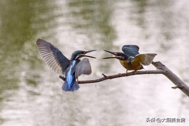 从节气养生到气场调和:农历二月二十六五大禁忌的技术拆解与实证分析 健康养生
