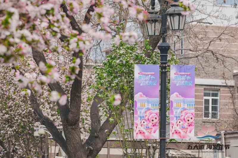 那一晚,我在大理道上遇见了一座城市的温柔 文化旅游