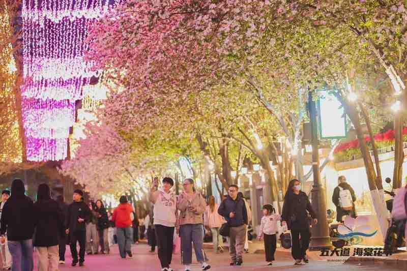 那一晚,我在大理道上遇见了一座城市的温柔 文化旅游
