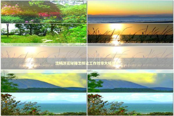 流畅浏览秘籍怎样让工作效率大幅提高 新闻