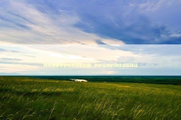 网络速度安全技术深度挖掘：防护延伸的独特创新路径