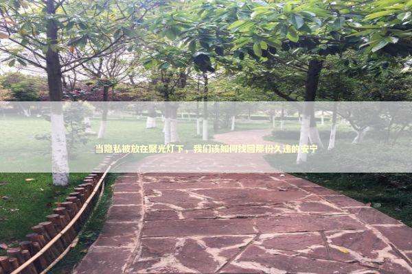 当隐私被放在聚光灯下，我们该如何找回那份久违的安宁