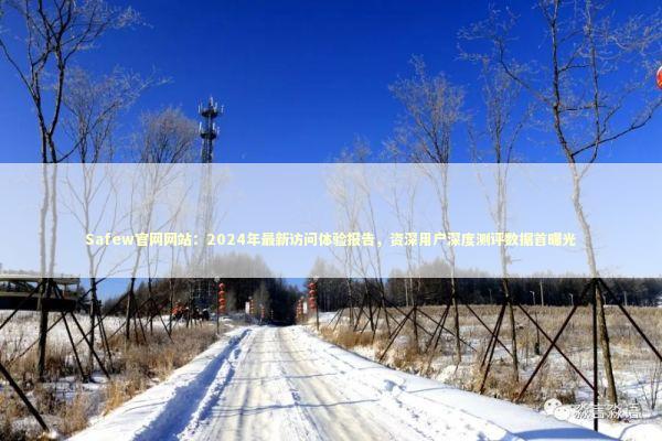 Safew官网网站：2024年最新访问体验报告，资深用户深度测评数据首曝光 IT技术