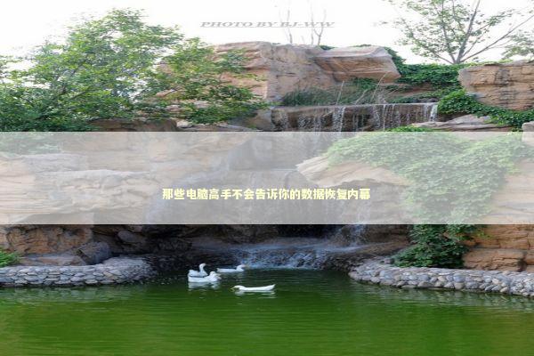 那些电脑高手不会告诉你的数据恢复内幕 那些电脑高手不会告诉你的数据恢复内幕 IT技术
