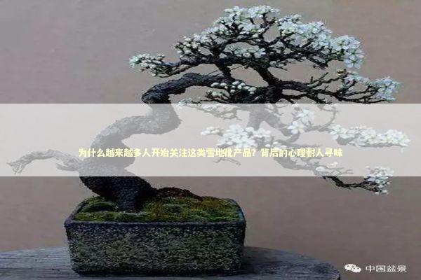 为什么越来越多人开始关注这类雪地靴产品?背后的心理耐人寻味 为什么越来越多人开始关注这类雪地靴产品?背后的心理耐人寻味 时尚用品