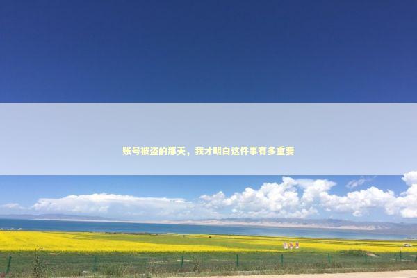 账号被盗的那天,我才明白这件事有多重要 账号被盗的那天,我才明白这件事有多重要 IT技术